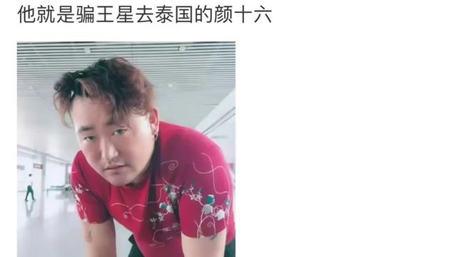 王星案颜十六已到案的深度解析