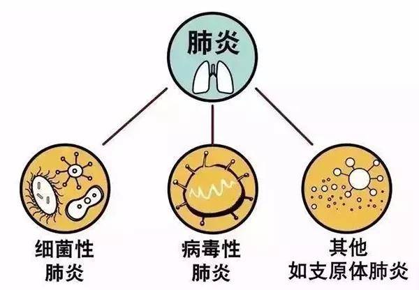 揭秘肺炎引发败血症的深层原因，不容忽视的健康警示！标题需自行填充。