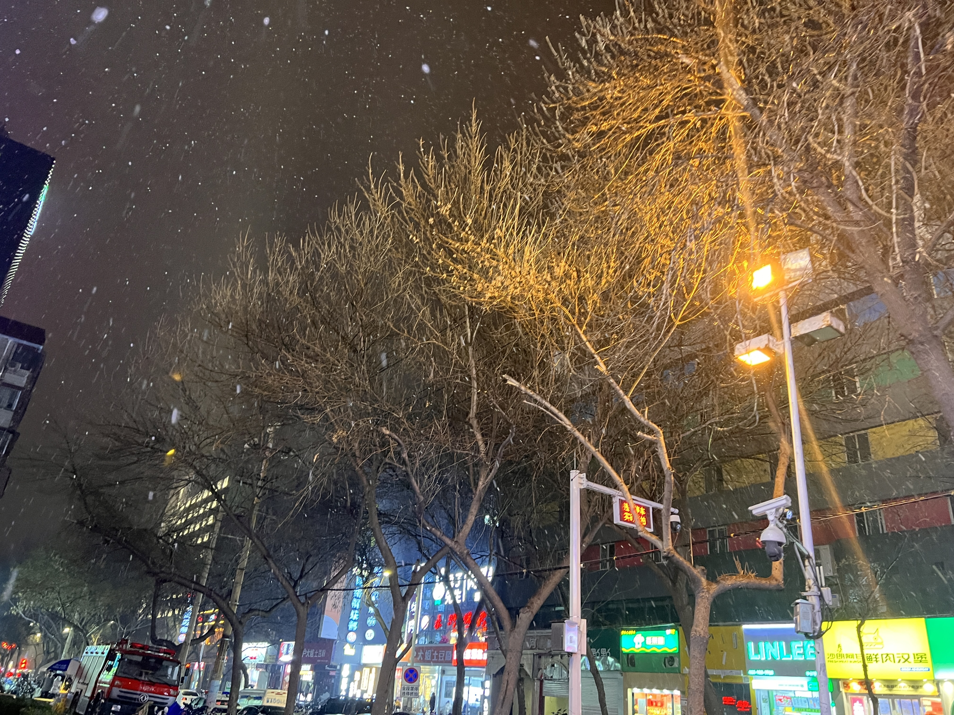 郑州下雪了，一场雪带来的深度思考与生活应用洞察