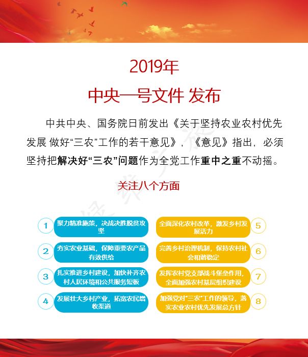 今年中央一号文件聚焦六大群体，政策红利下的民生新动向！深度解读背后的意义与影响。