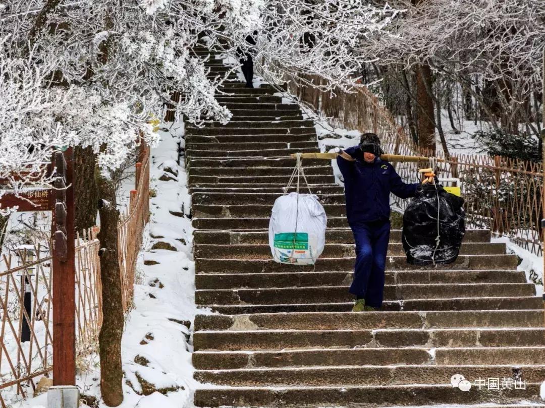 黄山遭遇罕见大雪，游客惊险滑落事件震惊全国！究竟发生了什么？深度剖析事故真相。