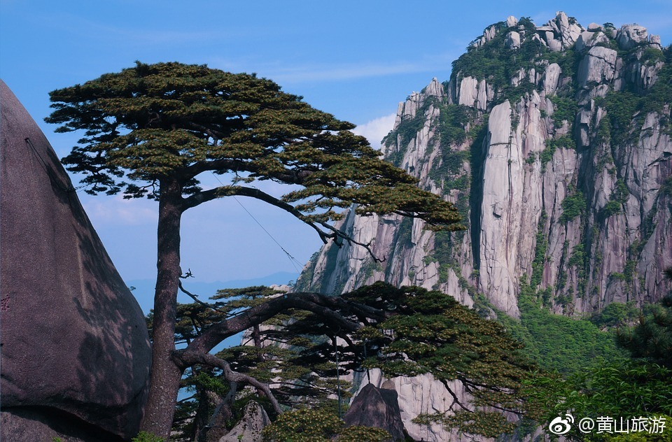 黄山风景区女神专享特惠，七天免费畅游，惊喜不止所见！揭秘背后的人文与自然奥秘。