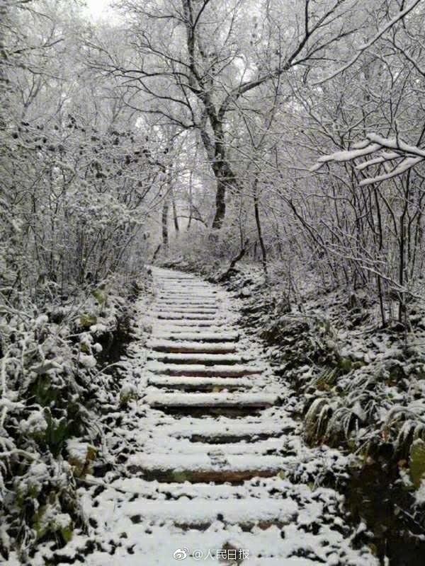 北京门头沟瑞雪纷飞，惊艳初冬！这场大雪背后藏着什么秘密？深度解读。