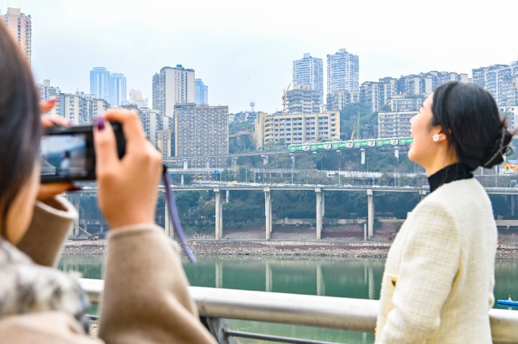 毛宁再种草李子坝站，潮流与文化的交汇点